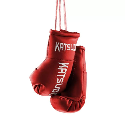 Mini Guanti da Boxe