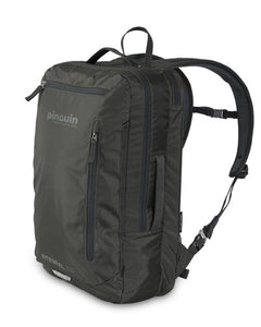 Pinguin Integral 30 Σακίδιο Nylon, 30 L, γκρι