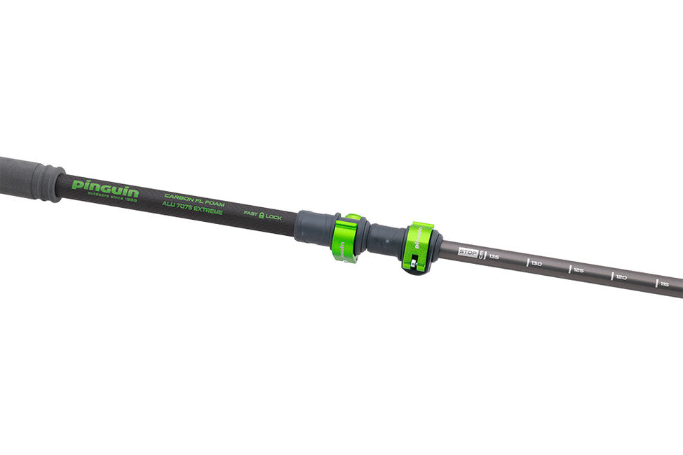 Pinguin Compact FL bastoni da trekking, grigio