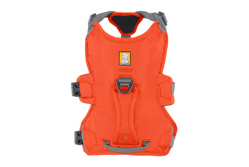 Ruffwear Web Master harness, blaze orange