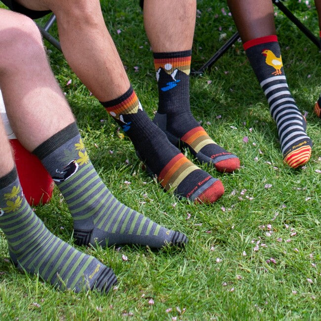 Darn Tough Sunset Ridge Micro Crew calzini leggero con cuscino, charcoal