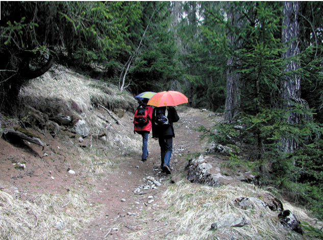 EuroSchirm TrekMate ombrello da viaggio ultraleggero light trek automatic, nero