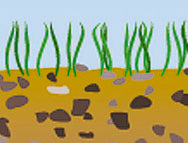 BasicNature Picchetti per tenda in duralluminio 15 cm 6 pz.