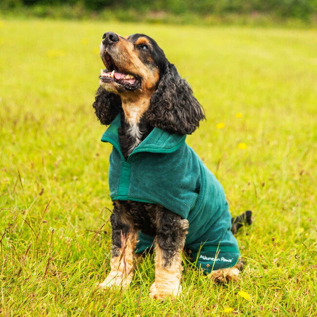Mountain Paws Accappatoio per cani di taglia piccola, verde