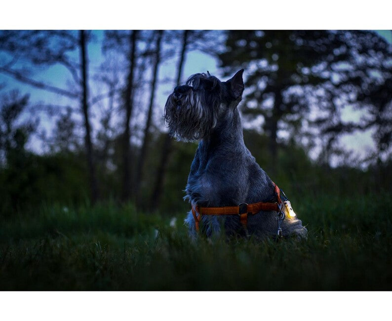 ArmyTek Zippy led portachiavi, giallo