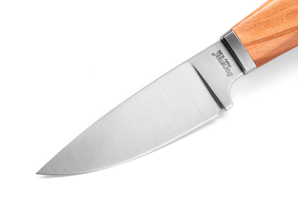 Lionsteel Willy WL1 UL coltello a lama fissa con manico in legno d'olivo
