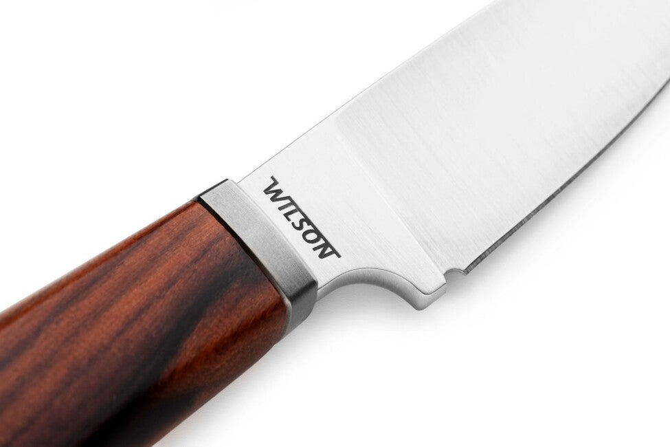 Lionsteel Willy WL1 ST coltello a lama fissa con manico in legno santos