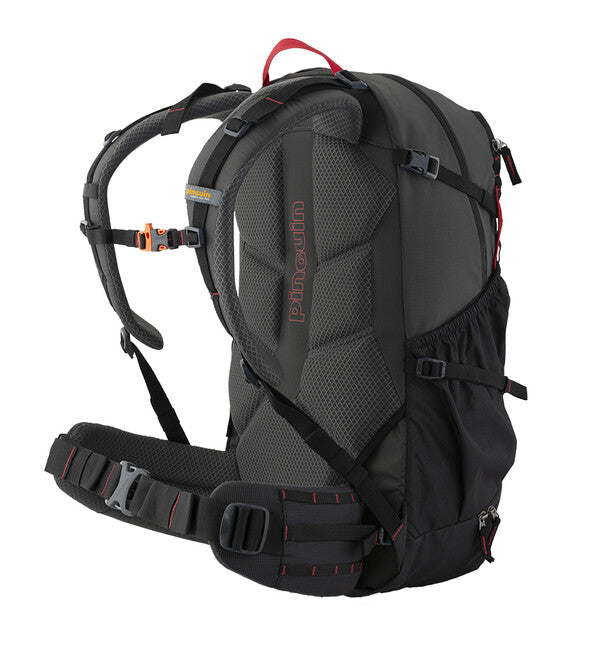 Pinguin Vector zaino 35 L, verde
