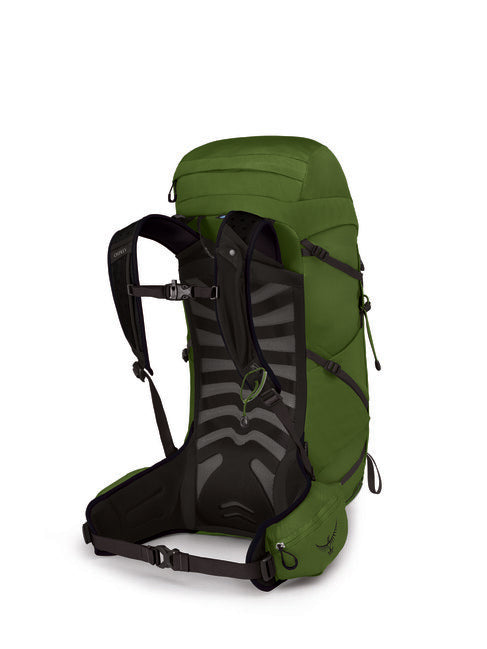Osprey Talon 33 zaino da trekking, green belt/black