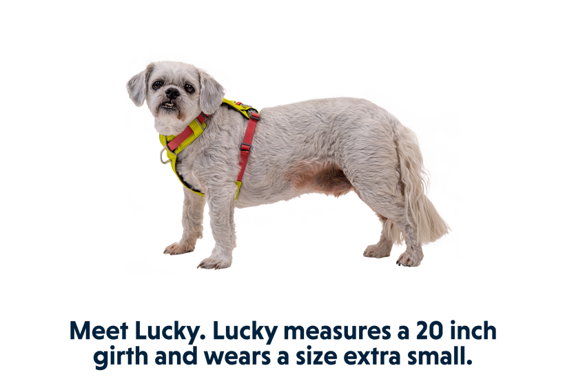 Ruffwear Hi & Light imbracatura, lichen green