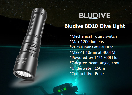 Bludive BD10 torcia subacquea, nera