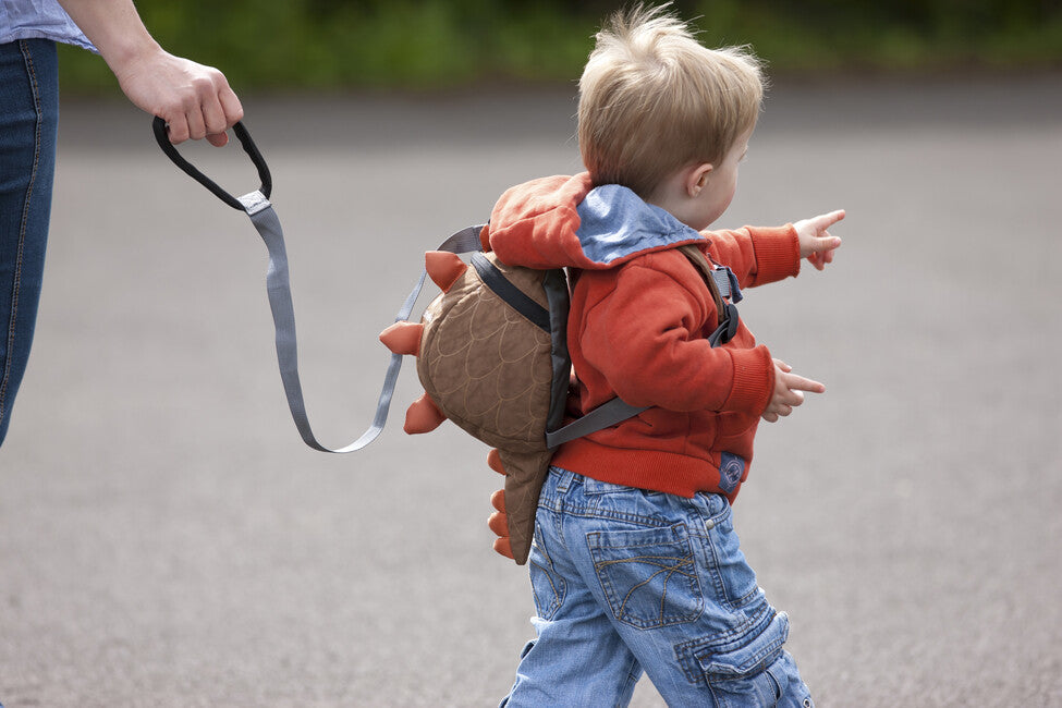 LittleLife Guinzaglio per bambini
