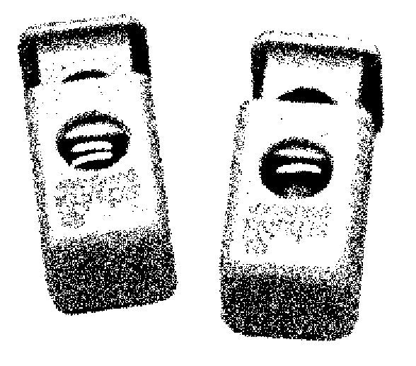 BasicNature Clip per cordino chiudibile 10 pz., nero