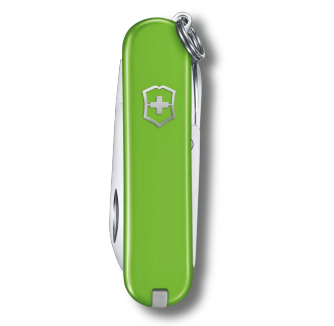 Victorinox Classic SD coltello multifunzione 7 funzioni, verde