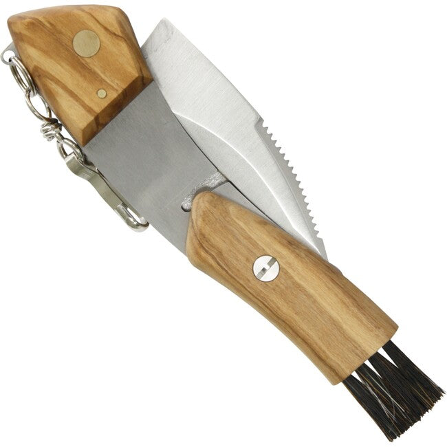 Maserin Pilz Coltello per funghi Legno d'ulivo
