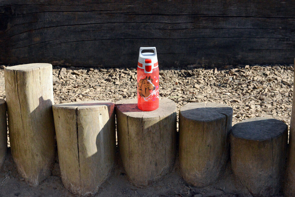 Sigg Viva One bottiglia d'acqua per bambini, cavalli