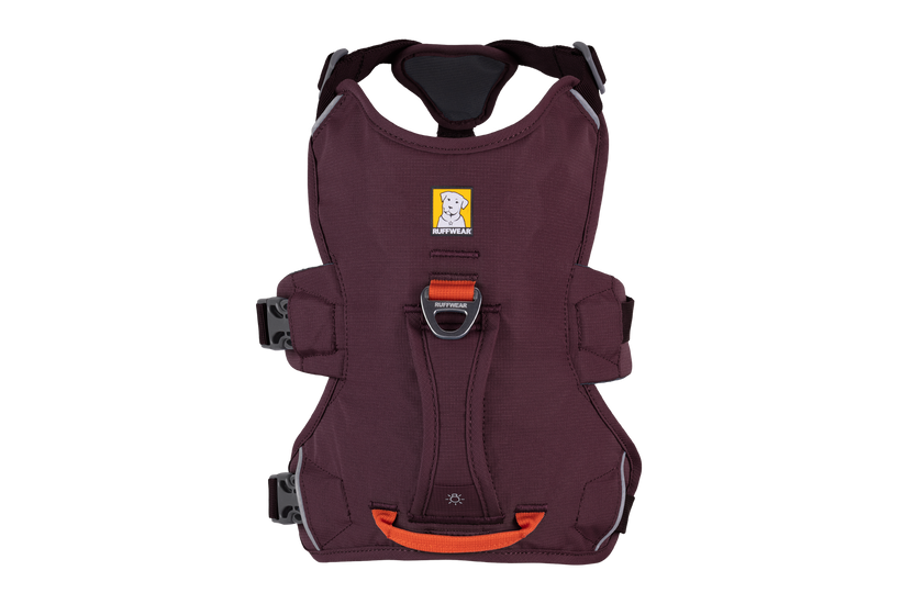 Ruffwear Web Master harness, purple rain