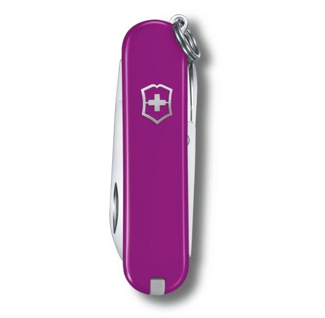 Victorinox Classic SD Colors Coltello multifunzione, viola scuro, 7 funzioni, blist