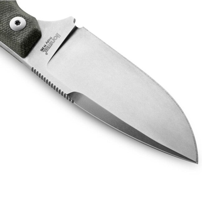 Lionsteel H2 CVG - 1, cvg
