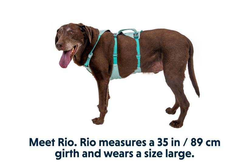 Ruffwear Flagline imbracatura, sage green