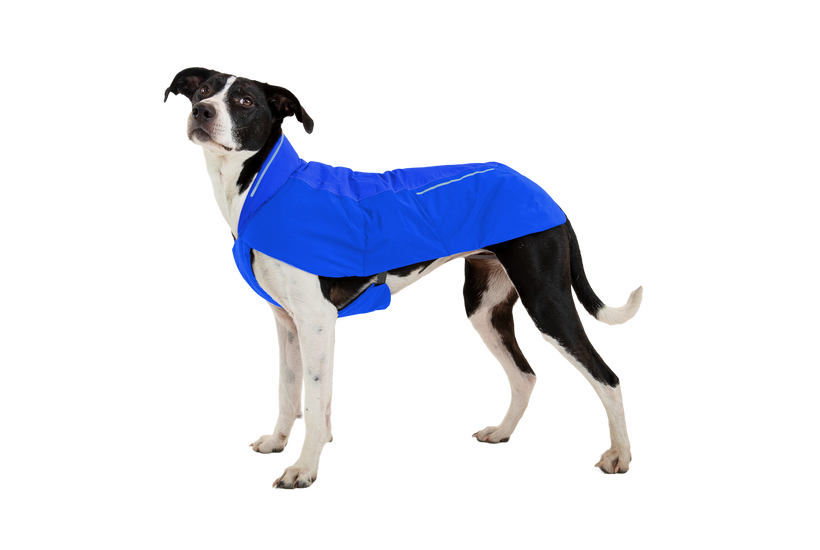Ruffwear Vert giacca per cane, blue pool