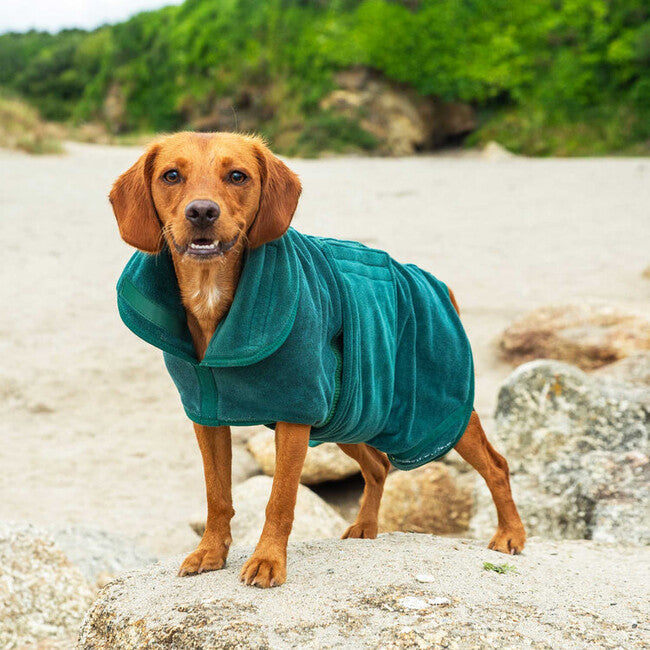 Mountain Paws Accappatoio per cani grande, verde