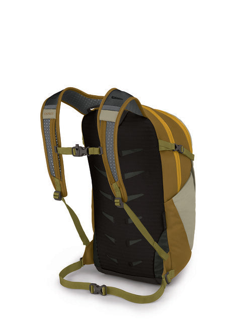 Osprey Daylite Plus zaino city 20, grigio prato/marrone isolato