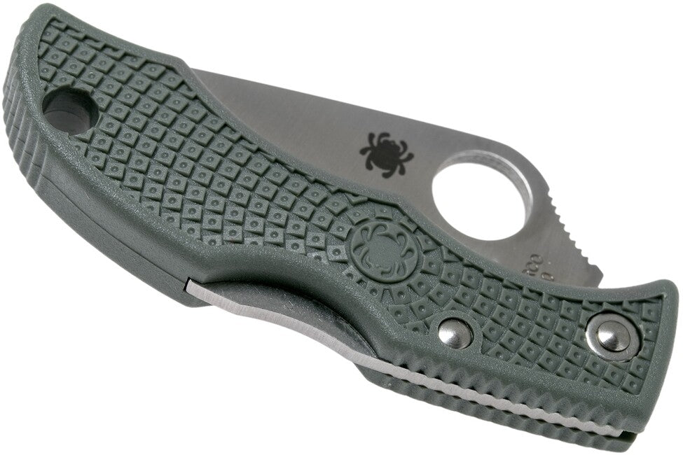 Spyderco Ladybug 3 Lightweight coltello tascabile piccolo 4,9 cm, verde-grigio, frn