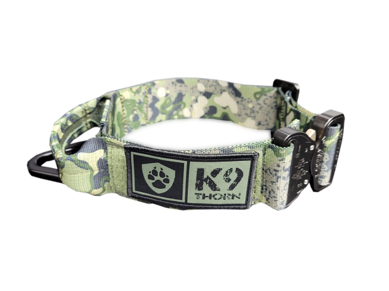 K9 Thorn Collare Cobra-Bravo 45mm, pantera
