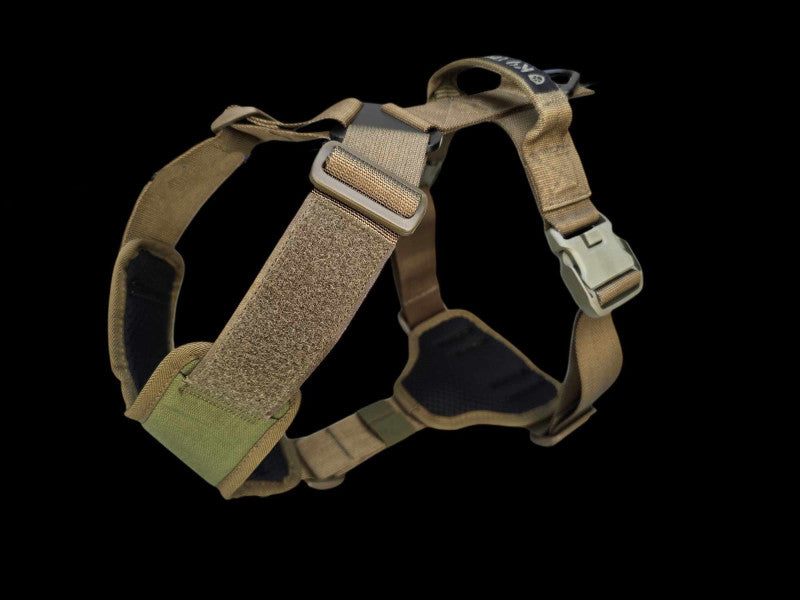K9 Thorn Charlie imbracatura, oliva