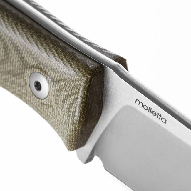 Lionsteel Pugnale compatto con lama in acciaio M390 M4 CVG