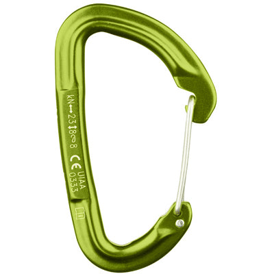 Salewa Hot G3 moschettone, verde