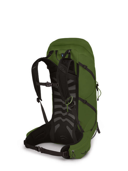 Osprey Talon 36 zaino da trekking, green belt/black