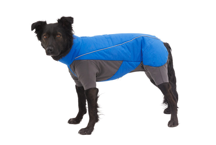 Ruffwear Tuta per cane vert, blue pool