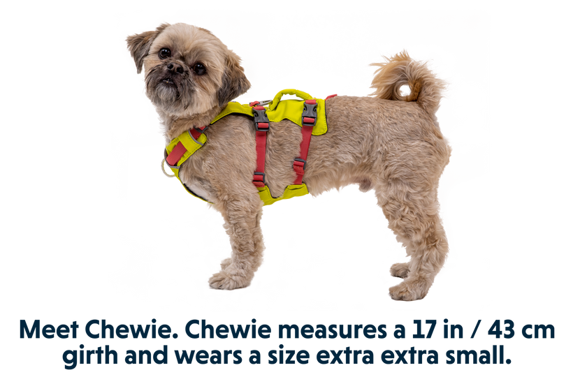 Ruffwear Flagline imbracatura, lichen green