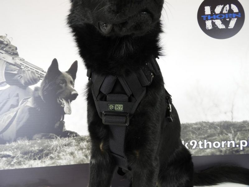 K9 Thorn Delta imbracatura, nera