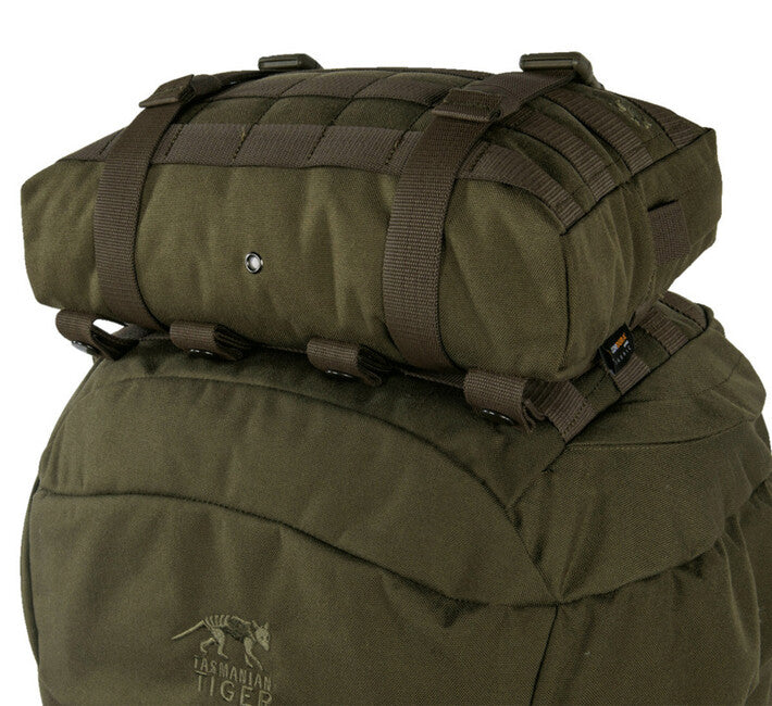 Tasmanian Tiger Tac Pouch 10, oliva