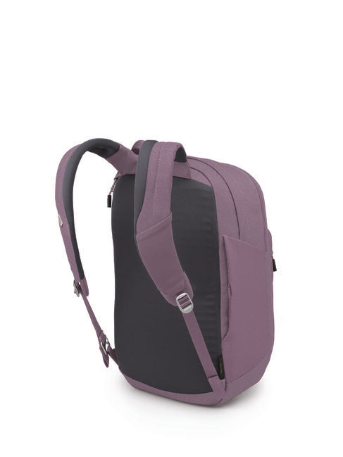 Osprey Arcane xl zaino da città, purple dusk heather