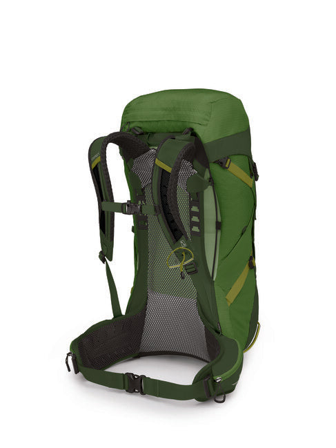 Osprey Stratos 36 zaino da trekking, seaweed/matcha green