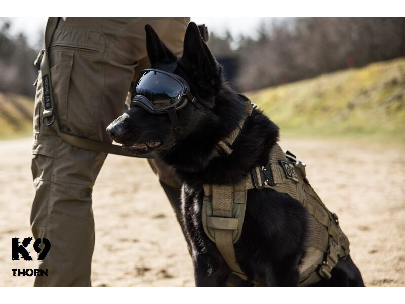 K9 Thorn Pettorina tattica leggera, nera