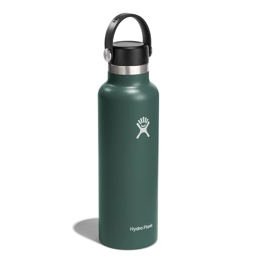 Hydro Flask Thermo bottle 21 OZ Standard Flex Cap 621 ml, abete