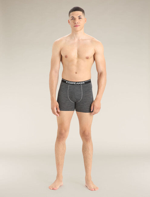 Icebreaker Anatomica boxer da uomo, grigio