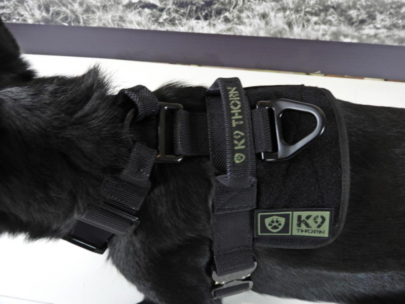 K9 Thorn Delta imbracatura, nera