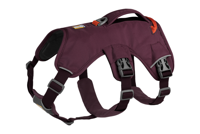 Ruffwear Web Master harness, purple rain