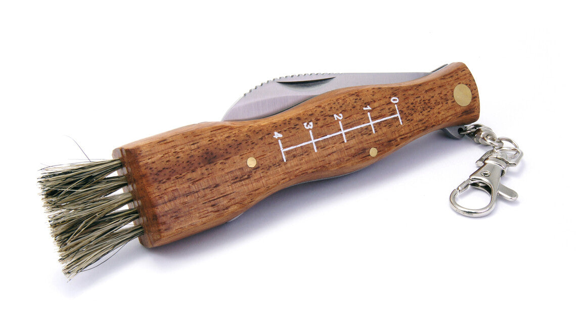 Filmam Coltello tascabile a fungo