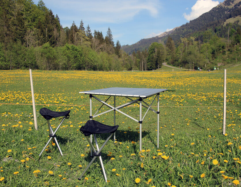 BasicNature Sedia da viaggio Sedia a treppiede Sandwich