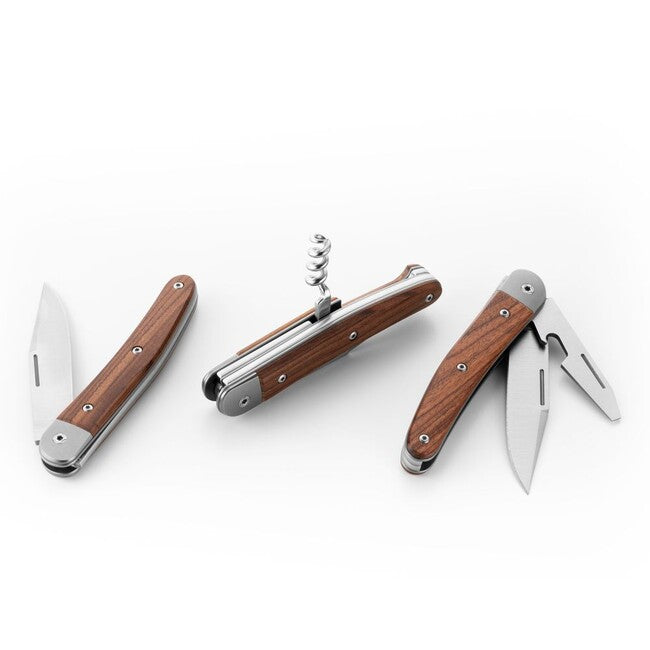 Lionsteel Jack é un nuovo coltello tascabile tradizionale con lama in acciaio M390 JACK JK1 ST