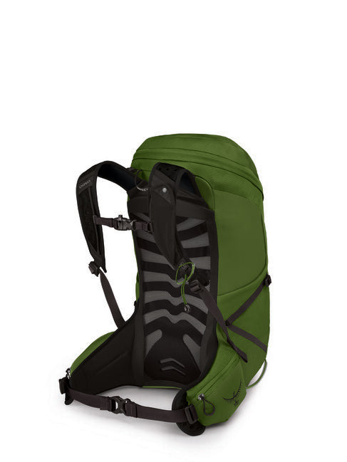 Osprey Talon 26 zaino da trekking, green belt/black