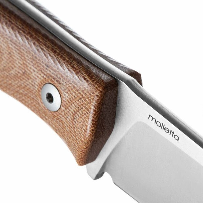 Lionsteel Pugnale compatto con lama in acciaio M390 M4 CVN