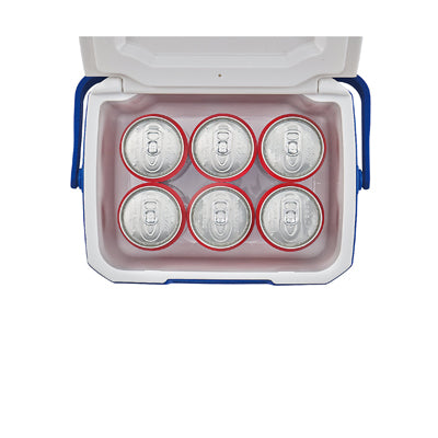 Coleman Cooling Box Performance Personal 6 QT 4,7 L